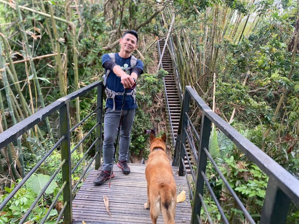 田中森林步道.赤水崎步道.龍過脈步道【都是友善石虎的好地方!!】2766685