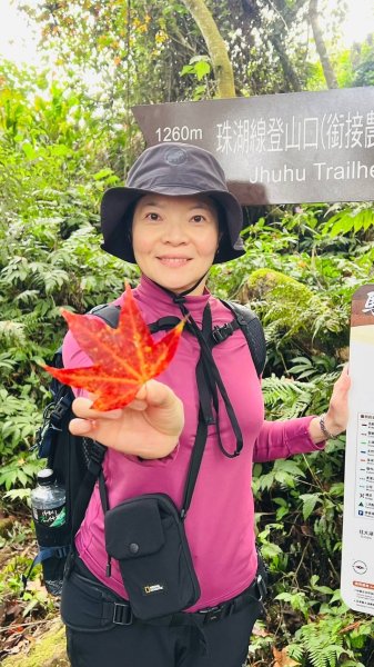 〽️12/25（三）聖誕節~楓紅了🍁~馬拉邦(小百岳)賞楓眺望聖稜線2676379