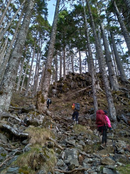 【台中市和平區】雪山主北東翠池(2/4)954725