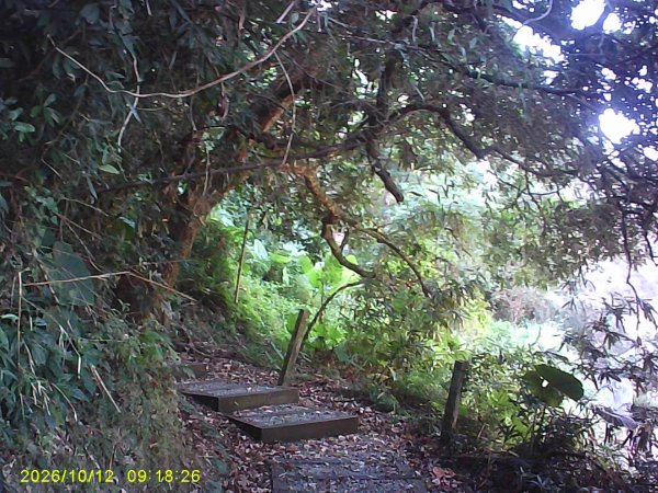 石岡區挑物古道+九房里古道O繞3133656