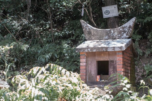 周朝南館長兒時上學路｜烏塗窟古道＆一通坑巡禮2554383
