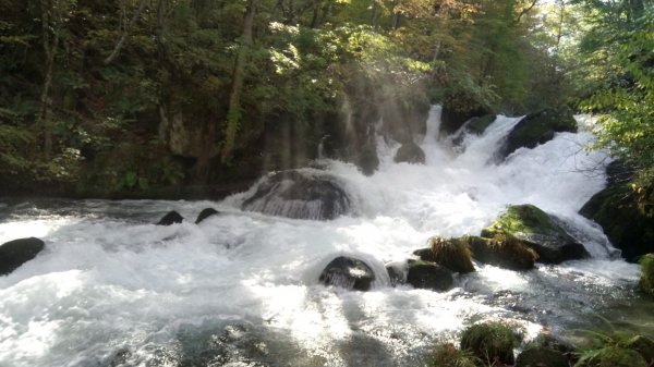 奧入瀨溪健行444375