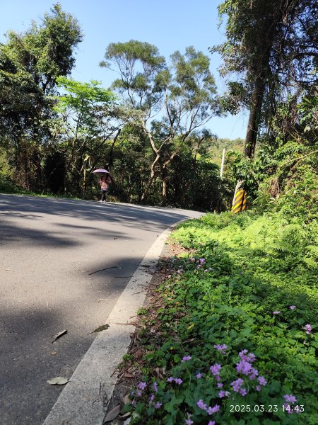 【臺北大縱走 5】碧山巖→忠勇山越嶺步道→金龍產業道路→圓明寺步道→鄭成功廟步道→文間山→劍潭山步道2744837