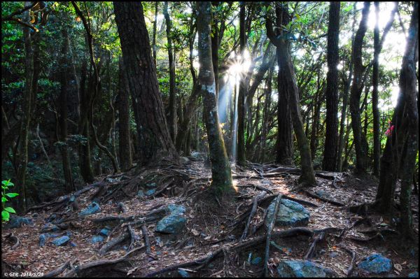 一顆大石頭 ~ 三訪鳶嘴山338558