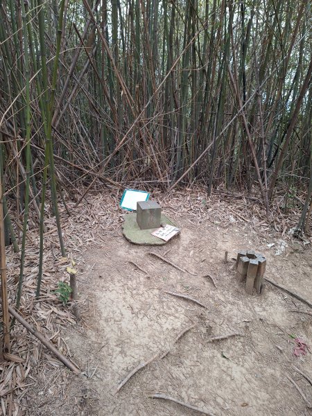 文林古道(鄧雨賢公園起登)202401222696178