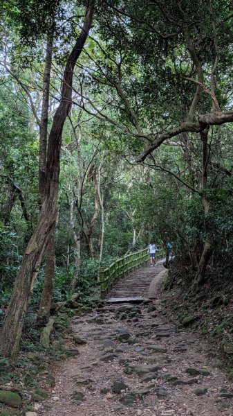 飛鳳山步道3118560