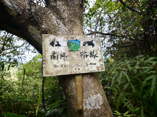 [淡蘭古道] 2026_0523 南路第一段_中埔山步道3069391