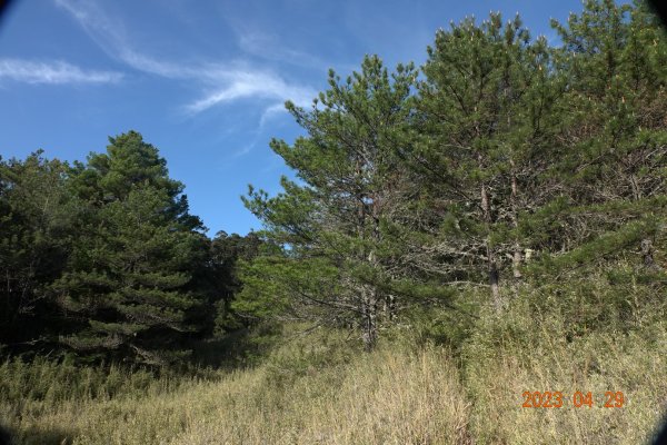 南投 仁愛 武法奈尾山2133754