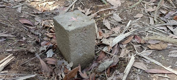 20220312_馬那邦山 細道邦山南峰 細道邦山1637077