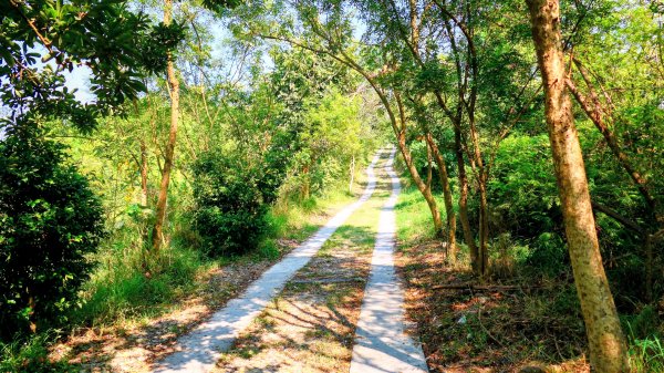 左營半屏山2954327