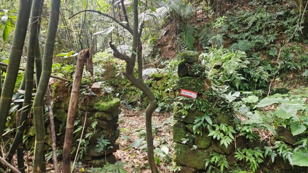 20250302玉田古道-瑪鋉三山出武聖街2725255