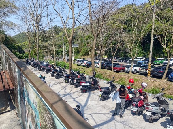 藤山步道登樟普寮一等三角點+挑水古道2749473