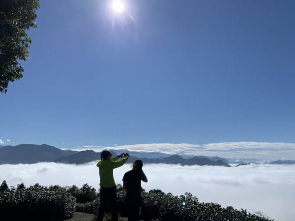 太平~大巃頂茶園