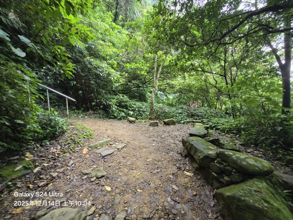 2025-12-14微笑山線：【二格山系】銀河洞越嶺段2962128