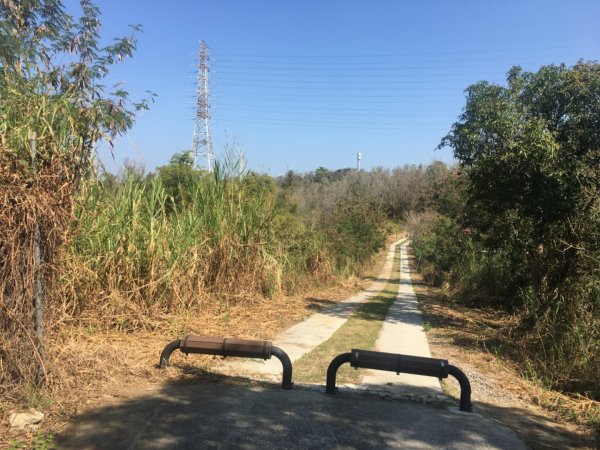 關廟森林公園、天空步道2423620