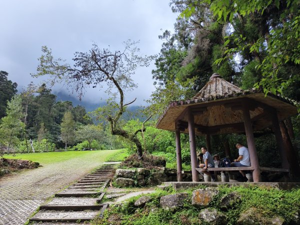 [百山百鳥尋旅-05/15] 2025_0830 溪頭賞鳥步道_觀景步道2875595
