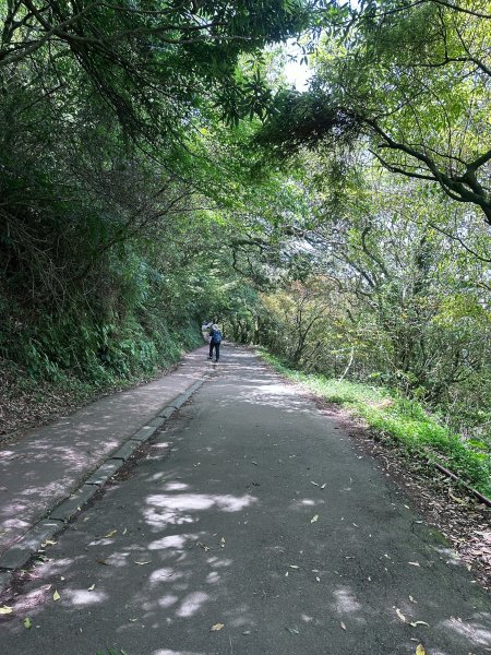 台北大縱走第一段2766796