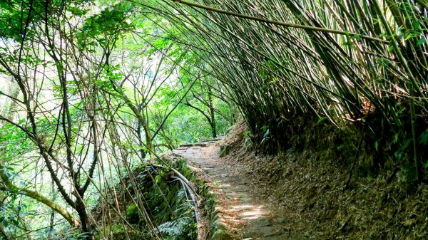 溪和宮,大尖山,擎天崗2822943