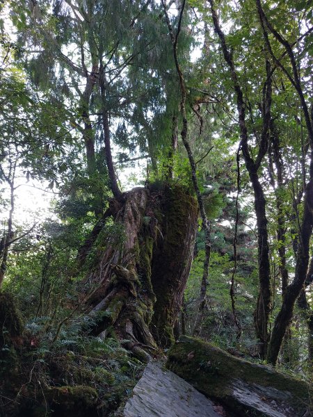 見晴古道+三星山+三星池202208211817280