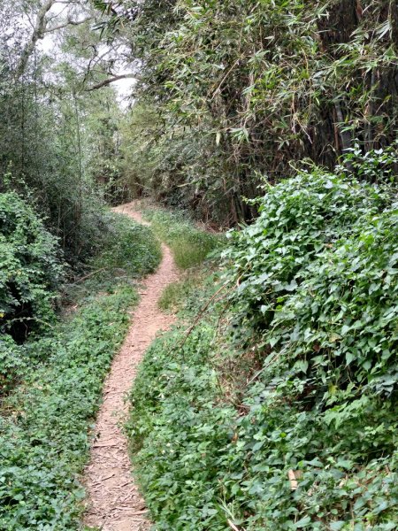 【新竹縣芎林鄉】文林古道2833070