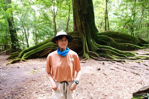 雪見大板根2924690