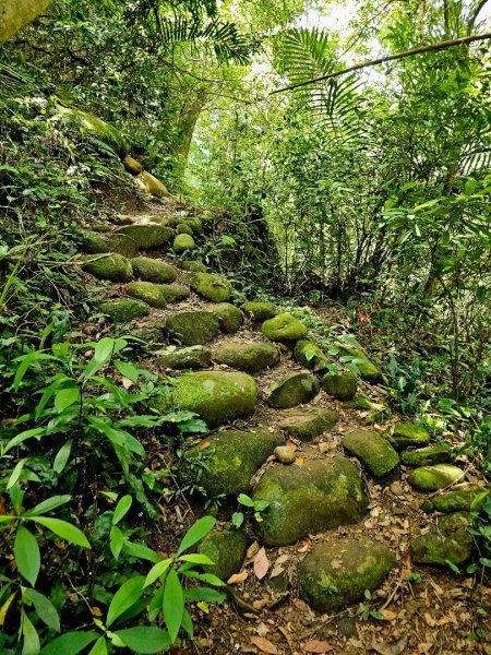 渡南古道+飛鳳古道 - 2024森遊竹縣皮皮獅Hike客任務2555023