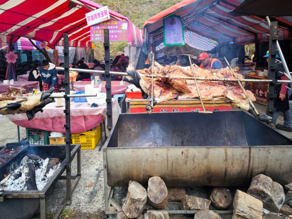 2026-02-08 藤枝山2998423