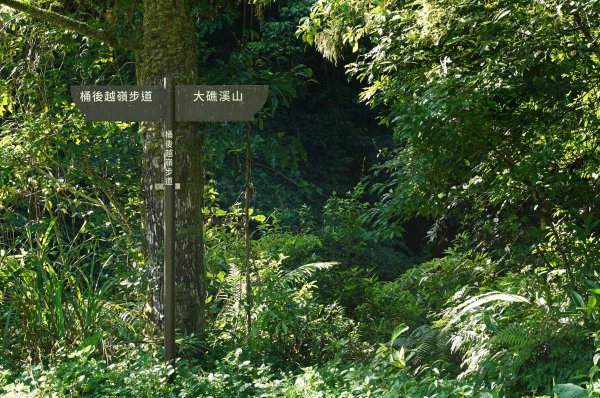 新北 烏來 大礁溪山2821587