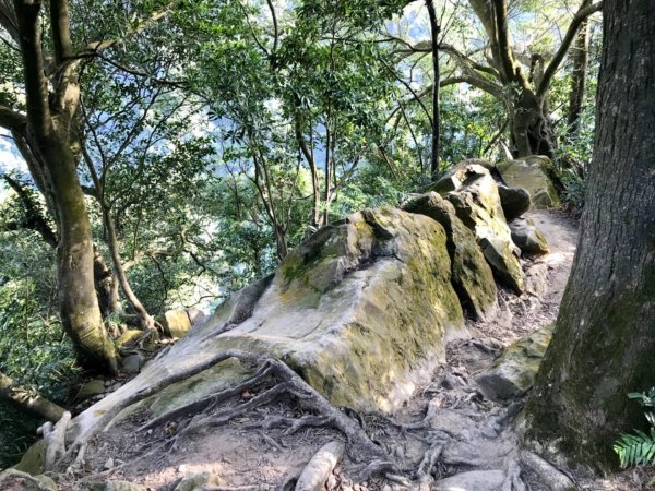 五寮尖上大風狂448880