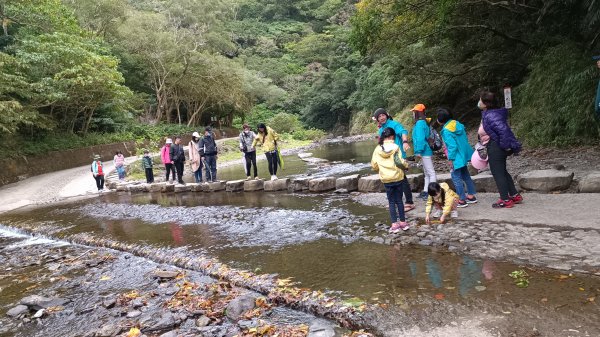 雙流國家森林遊樂區2046627