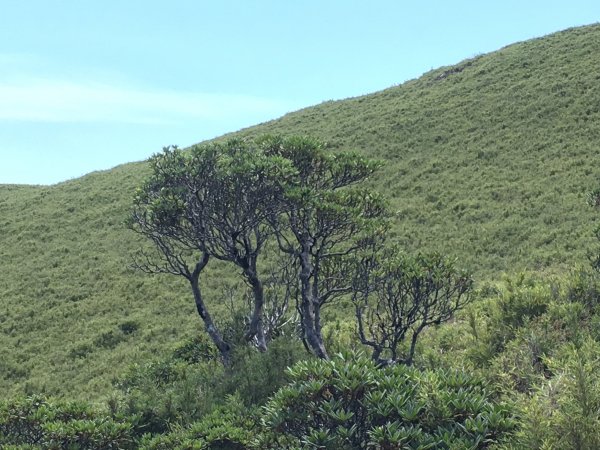 合歡北峰、石門山526690