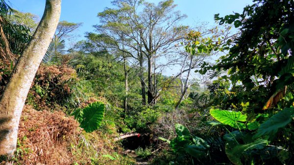 南化刣牛湖山2987505