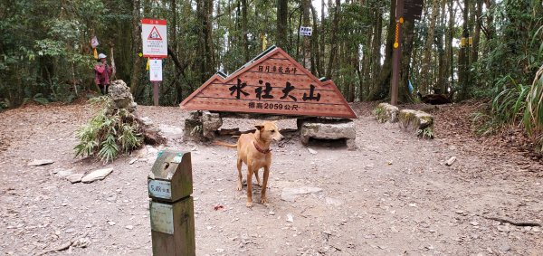 能見到整個日月潭視景的水社大山2043110