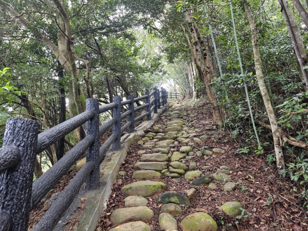 [皮皮獅動物派對-03/10] 2026_0822 石光古道(老虎山步道)3120802