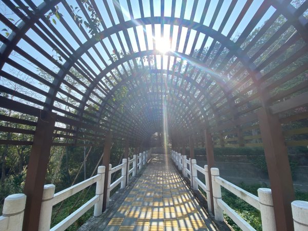 苗栗頭份-老崎古道2628341