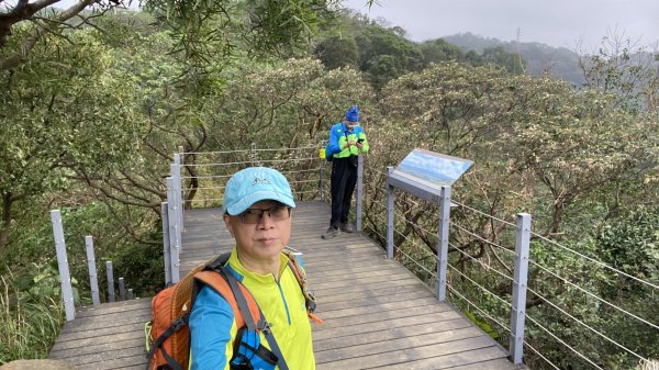 鶯歌石走牛灶坑山O形|碧龍宮|宏德宮|峯花雪月2656588