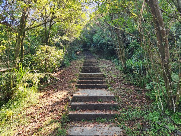 小百岳No.10⛰五分山2883152