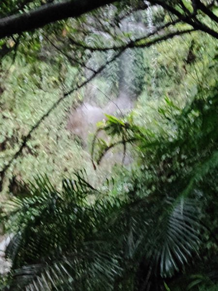 微笑山線：【二格山系】銀河洞越嶺段2841279