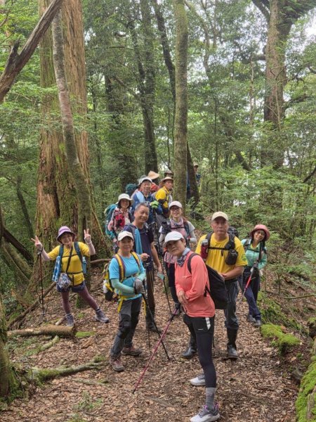觀雪縱走~大園登山協會2828652