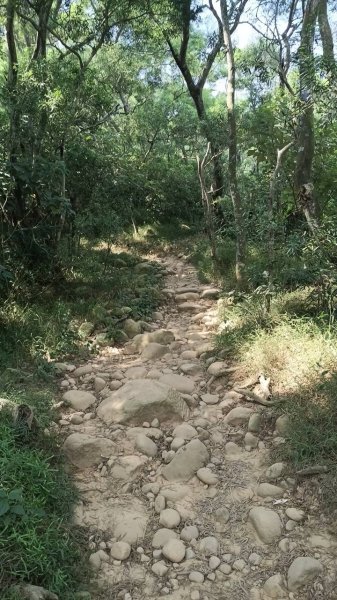 20251018 三義火炎山 南鞍古道 O型2920418