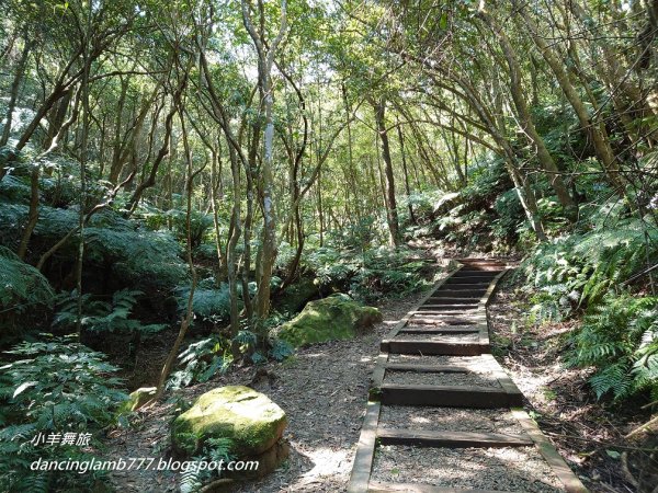 【台北】大崙頭尾O型：大崙頭尾--翠山步道--碧溪步道1659164