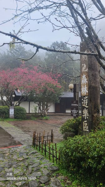 2025-0221 明池步道2718228