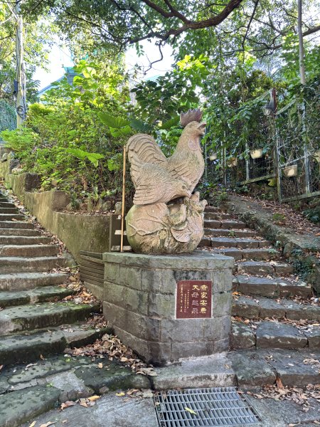 天母古道 + 紗帽山2913877