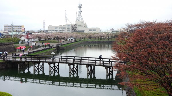 北海道五陵郭公園769628