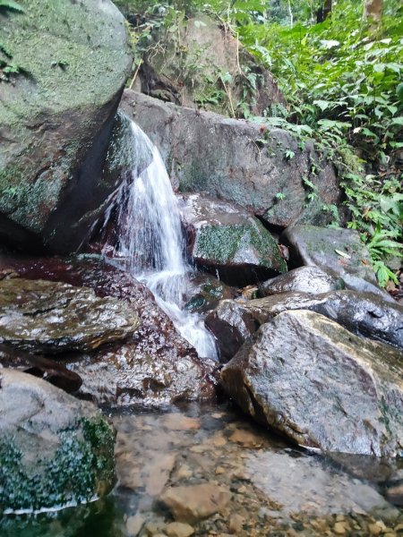 三峽白雞三山2963353