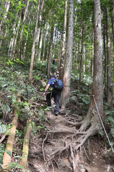 中級山-高島縱走2888419
