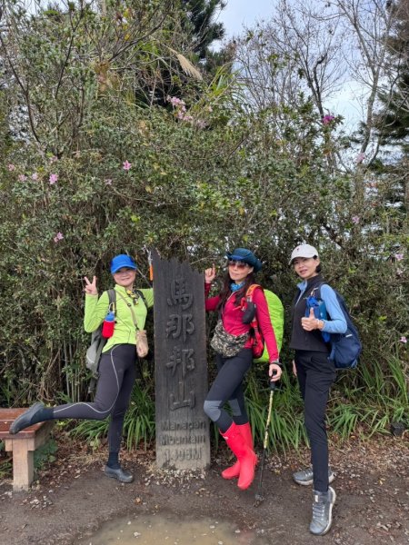 小百岳馬那邦山(H1407m)加碼採草莓2694704