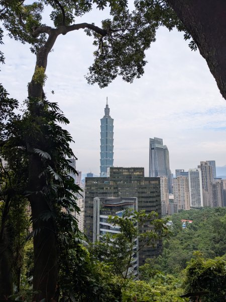 2025-06-01 五進五出九五峰2803004