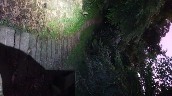 收集小百岳 018 天上山 20211128(二)1797432