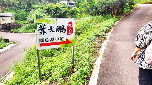 平溪中央尖山，慈恩嶺，東勢格越嶺古道，石碇鱷魚島，南港白匏湖，橫科彈藥庫舊址1751658